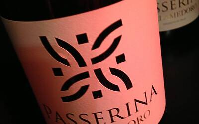 FORD FIESTADAY ROMA LANCIO NUOVA VIESTA SYNC E KUGA CON CONNESSIONE DIGITALE ALWAYS ON LA FESTA ALLAUDITORIUM DELLA MUSICA CON I GIORNALISTI ED I BLOGGER 53