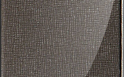 FolioPocketforiPhone5