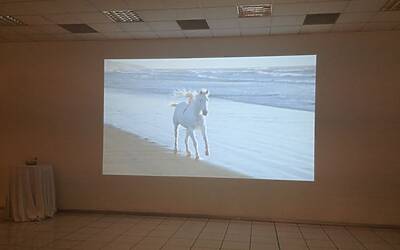 PhotoShow 2013 NEC e Citroen insieme neL MIGLIORE PHOTOSHOOTING con lambientazione più esclusiva 36