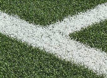 lerba di Fubles e Polytan GmbH