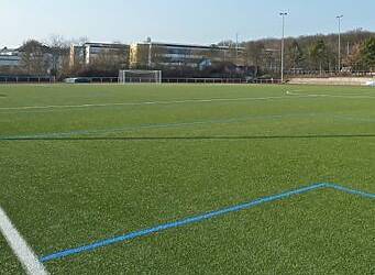 lerba di tipo ligaturf