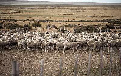 KRzXCuKLnPtiAEciY0vadSP89tWzBpg1VtkphMq6HxQ