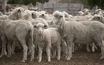 LIiTc0RB3F0t37 vXFYVBdVF1f ks gIemGuM5gcQMk