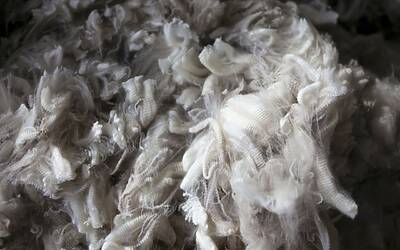 NwTrxgj DMs3UvYr8Bsu0yyicBPKgozVJqeVj5NZi24