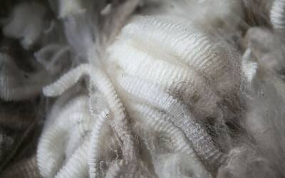 TBfCVXY0CbYloNkYvvMtBrCYRTeHC0bbu W zEs4Z0I