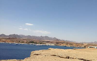 TRAIL RUNNING DESERTO DEL SINAI TEST NIKE FUELBAND ADIDAS ENERGY BOOST XBIONIC SOCKS XITANIT BANDANA TROPICALE AQABA DAHAB SHARM EL SHEIK 028