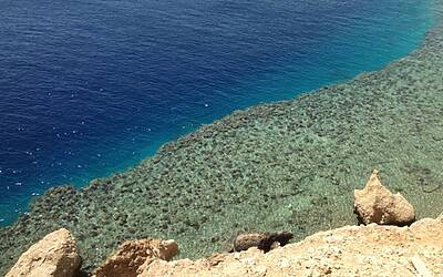 TRAIL RUNNING DESERTO DEL SINAI TEST NIKE FUELBAND ADIDAS ENERGY BOOST XBIONIC SOCKS XITANIT BANDANA TROPICALE AQABA DAHAB SHARM EL SHEIK 029