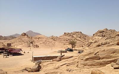 TRAIL RUNNING DESERTO DEL SINAI TEST NIKE FUELBAND ADIDAS ENERGY BOOST XBIONIC SOCKS XITANIT BANDANA TROPICALE AQABA DAHAB SHARM EL SHEIK 097