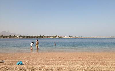 TRAIL RUNNING DESERTO DEL SINAI TEST NIKE FUELBAND ADIDAS ENERGY BOOST XBIONIC SOCKS XITANIT BANDANA TROPICALE AQABA DAHAB SHARM EL SHEIK 148