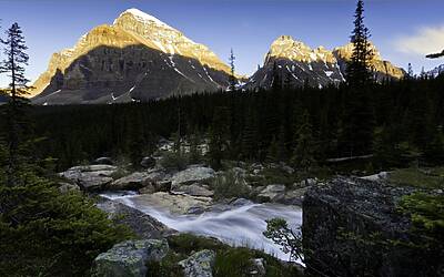 dW 0Pw F86hCCa8UEmrggZZvCVCNE476jbIiKfi6waI