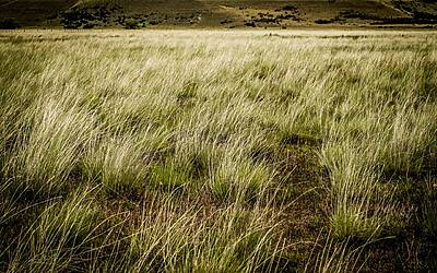 jDlF7A9teSxAmdd4NlV6J2iOBTJUb35gtU35cRO0 ac iUnukAUigYZJCY5R 9t4fFw5c0mVCZNzfZAzuySyhk