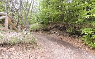 I RAGNI DI LECCO INSIEME AD ADIDAS EYEWEAR OCCHIALI PER LO SPORT NEL RIFUGIO CARLO PORTA DEI PIANI DEI RESINELLI A BALLABIO LECCO 004
