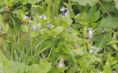 I RAGNI DI LECCO INSIEME AD ADIDAS EYEWEAR OCCHIALI PER LO SPORT NEL RIFUGIO CARLO PORTA DEI PIANI DEI RESINELLI A BALLABIO LECCO 109