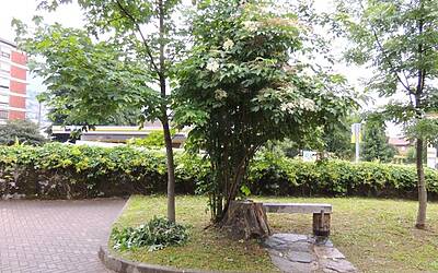 I RAGNI DI LECCO INSIEME AD ADIDAS EYEWEAR OCCHIALI PER LO SPORT NEL RIFUGIO CARLO PORTA DEI PIANI DEI RESINELLI A BALLABIO LECCO 123