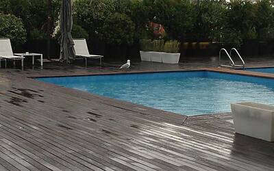 kugadrive @forditalia @BnlPeople ibi13 @intebnlditalia LA PRESENTAZIONE DEI NUOVI SUV SMART UTILITY VEHICLE DI FORD KUGA ECOBOOST AGLI INTERNAZIONALI BNL DI TENNIS AL FORO ITALICO DI ROMA michele ficara manganelli Assodigitale Test Drive 159