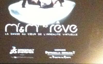 Dassault Systèmes evento prima spettacolo «Mr et Mme Rêve» 18 giugno 2013 Parigi Barbara Barbieri per Assodigitale 11