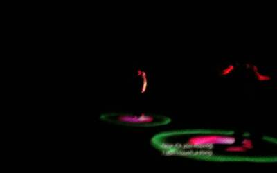 Dassault Systèmes evento prima spettacolo «Mr et Mme Rêve» 18 giugno 2013 Parigi Barbara Barbieri per Assodigitale 16