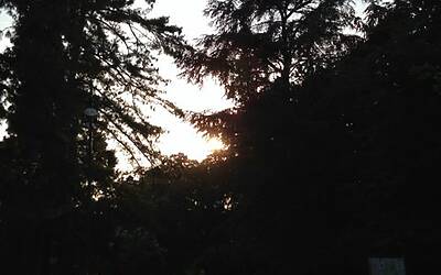 ENERGIZER NIGHTRUN LA CORSA NOTTURNA AL PARCO SEMPIONE DI MILANO CON 6000 PARTECIPANTI RUN RUNNER PODISTI PODISMO 151