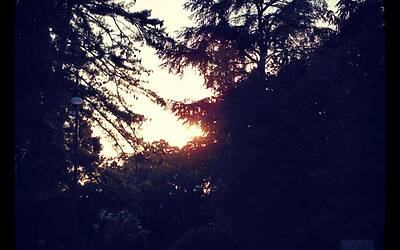 ENERGIZER NIGHTRUN LA CORSA NOTTURNA AL PARCO SEMPIONE DI MILANO CON 6000 PARTECIPANTI RUN RUNNER PODISTI PODISMO 152