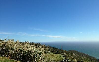 LANCIO EUROPEO DI CITROEN C4 PICASSO A LISBONA CON LA NUOVA DOTAZIONE TECNOLOGICA DOPPIO DISPLAY DA 12 e 7 POLLICI CON LA CONNESSIONE INTEGRATA ALLA RETE E APP DEDICATE 068