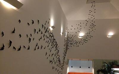 LANCIO EUROPEO DI CITROEN C4 PICASSO A LISBONA CON LA NUOVA DOTAZIONE TECNOLOGICA DOPPIO DISPLAY DA 12 e 7 POLLICI CON LA CONNESSIONE INTEGRATA ALLA RETE E APP DEDICATE 162