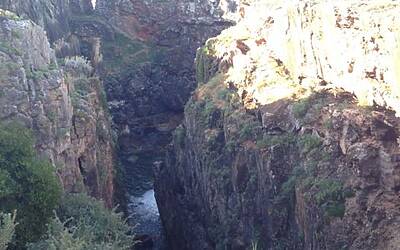 LANCIO EUROPEO DI CITROEN C4 PICASSO A LISBONA CON LA NUOVA DOTAZIONE TECNOLOGICA DOPPIO DISPLAY DA 12 e 7 POLLICI CON LA CONNESSIONE INTEGRATA ALLA RETE E APP DEDICATE 171