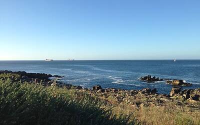 LANCIO EUROPEO DI CITROEN C4 PICASSO A LISBONA CON LA NUOVA DOTAZIONE TECNOLOGICA DOPPIO DISPLAY DA 12 e 7 POLLICI CON LA CONNESSIONE INTEGRATA ALLA RETE E APP DEDICATE 176