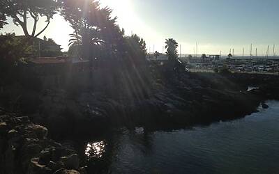 LANCIO EUROPEO DI CITROEN C4 PICASSO A LISBONA CON LA NUOVA DOTAZIONE TECNOLOGICA DOPPIO DISPLAY DA 12 e 7 POLLICI CON LA CONNESSIONE INTEGRATA ALLA RETE E APP DEDICATE 181