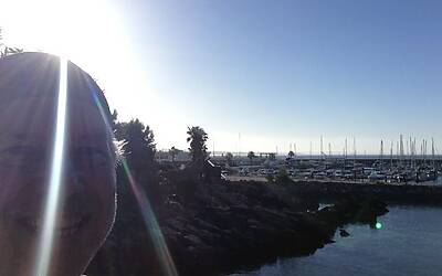 LANCIO EUROPEO DI CITROEN C4 PICASSO A LISBONA CON LA NUOVA DOTAZIONE TECNOLOGICA DOPPIO DISPLAY DA 12 e 7 POLLICI CON LA CONNESSIONE INTEGRATA ALLA RETE E APP DEDICATE 186