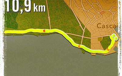 LANCIO EUROPEO DI CITROEN C4 PICASSO A LISBONA CON LA NUOVA DOTAZIONE TECNOLOGICA DOPPIO DISPLAY DA 12 e 7 POLLICI CON LA CONNESSIONE INTEGRATA ALLA RETE E APP DEDICATE 244