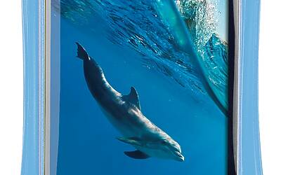 Rollei WP i 20 blue front