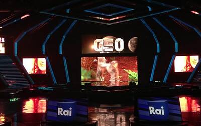 SERATA DI GALA RAI TV CON PRESENTAZIONE DEI PALINSESTI AUTUNNALI E DEI NUOVI PROGRAMMI TELEVISIVI NEGLI STUDI TELEVISIVI DI MILANO 105