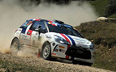 Molly Taylor in action