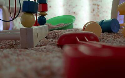 paletta particolare 001