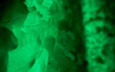 particolare sala verde 001