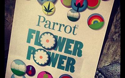 Connettere le piante ad internet con Parrot Flower Power il primo sensore wireless intelligente dotato di tecnologia Bluetooth Smart 02