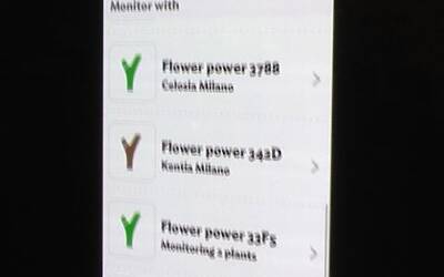 Connettere le piante ad internet con Parrot Flower Power il primo sensore wireless intelligente dotato di tecnologia Bluetooth Smart 16