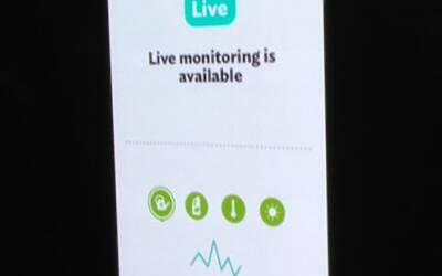 Connettere le piante ad internet con Parrot Flower Power il primo sensore wireless intelligente dotato di tecnologia Bluetooth Smart 18