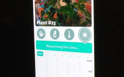 Connettere le piante ad internet con Parrot Flower Power il primo sensore wireless intelligente dotato di tecnologia Bluetooth Smart 19