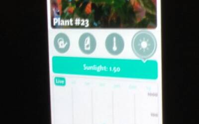Connettere le piante ad internet con Parrot Flower Power il primo sensore wireless intelligente dotato di tecnologia Bluetooth Smart 20