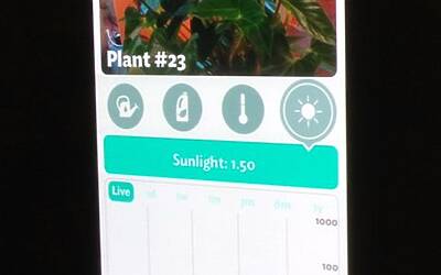 Connettere le piante ad internet con Parrot Flower Power il primo sensore wireless intelligente dotato di tecnologia Bluetooth Smart 21