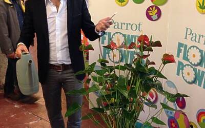 Connettere le piante ad internet con Parrot Flower Power il primo sensore wireless intelligente dotato di tecnologia Bluetooth Smart 24