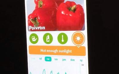 Connettere le piante ad internet con Parrot Flower Power il primo sensore wireless intelligente dotato di tecnologia Bluetooth Smart 27