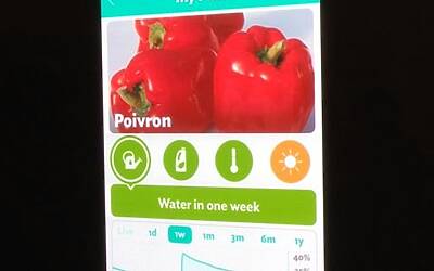 Connettere le piante ad internet con Parrot Flower Power il primo sensore wireless intelligente dotato di tecnologia Bluetooth Smart 29