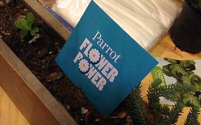 Connettere le piante ad internet con Parrot Flower Power il primo sensore wireless intelligente dotato di tecnologia Bluetooth Smart 34