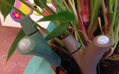 Connettere le piante ad internet con Parrot Flower Power il primo sensore wireless intelligente dotato di tecnologia Bluetooth Smart 40