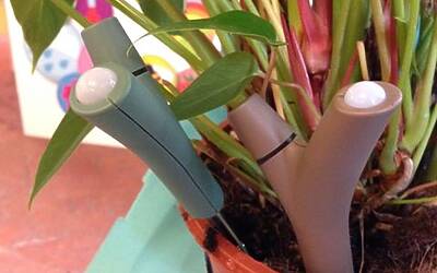Connettere le piante ad internet con Parrot Flower Power il primo sensore wireless intelligente dotato di tecnologia Bluetooth Smart 42