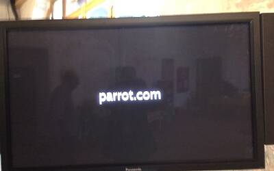 Connettere le piante ad internet con Parrot Flower Power il primo sensore wireless intelligente dotato di tecnologia Bluetooth Smart 46