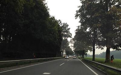 Quando la tecnologia incontra lambiente Citroen Grand C4 Picasso il Tecnospace che inquina meno di una sigaretta 071