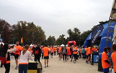 deejay ten milano 2013 le foto ed i video migliori non ufficiali della Deejay Ten milano 2013 guarda se ci sei anche tu tra i partecipanti alla corsa divertente di milano insieme a Radio Deejay e Linus 13